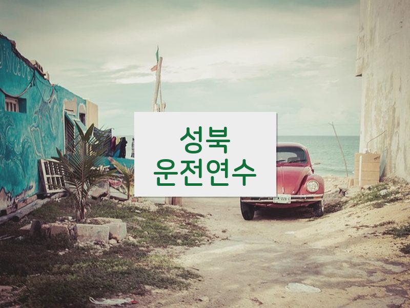 성북운전연수 후기