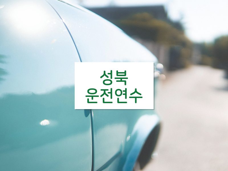 성북운전연수 후기