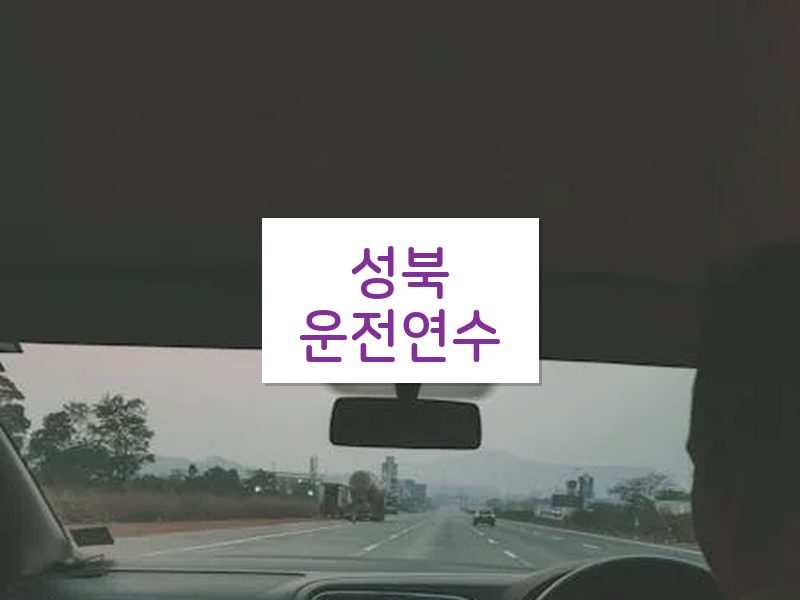 성북운전연수 후기