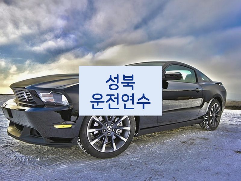 성북운전연수 후기