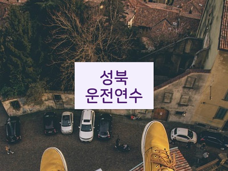 성북운전연수 후기