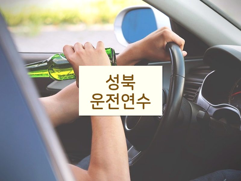 성북운전연수 후기