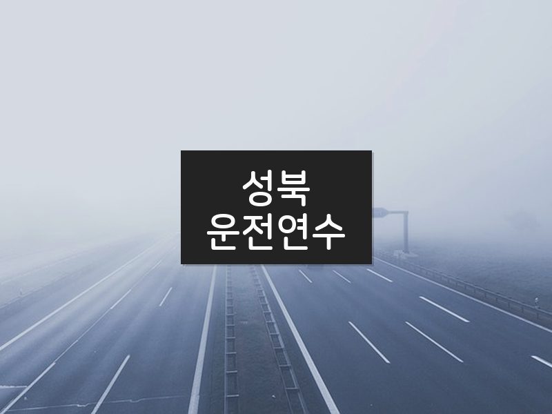 성북운전연수 후기
