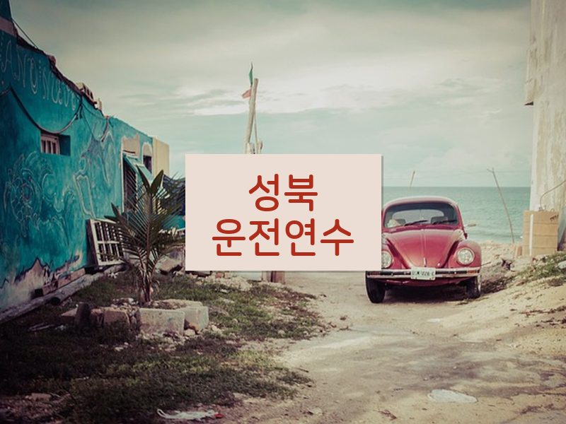 성북운전연수 후기