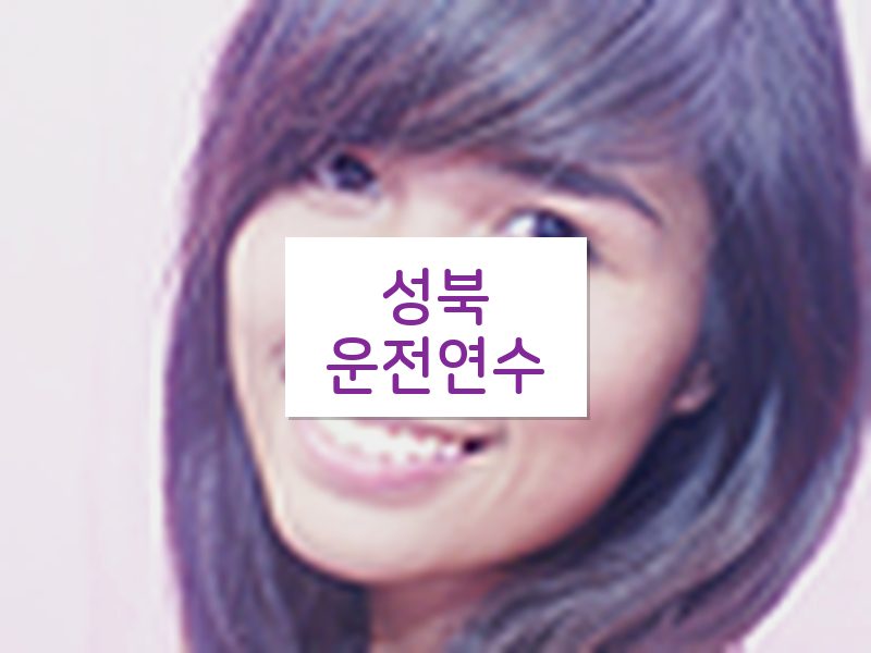 성북운전연수 후기