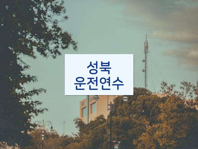 성북운전연수 후기