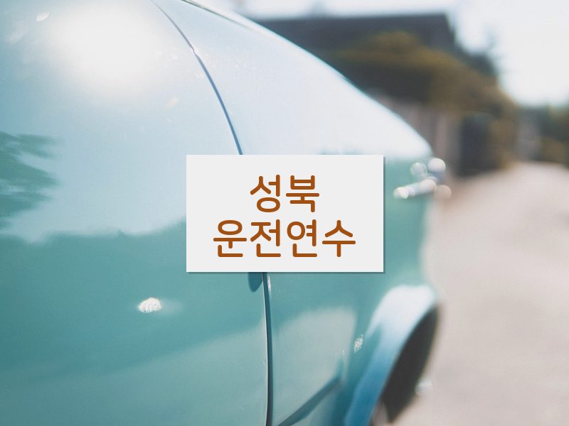 성북운전연수 후기