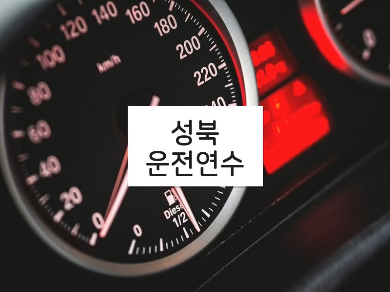성북운전연수 후기