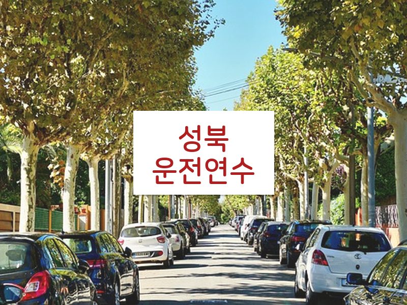 성북운전연수 후기