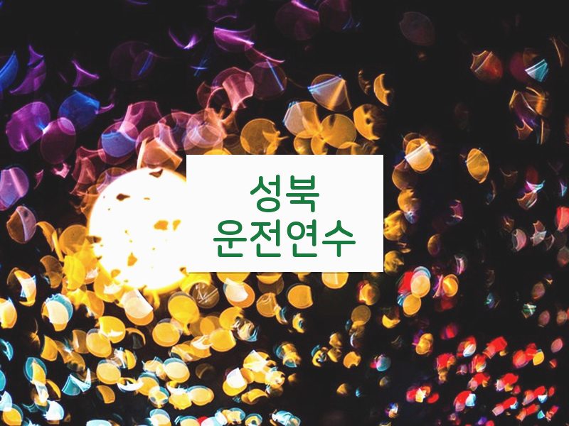성북운전연수 후기
