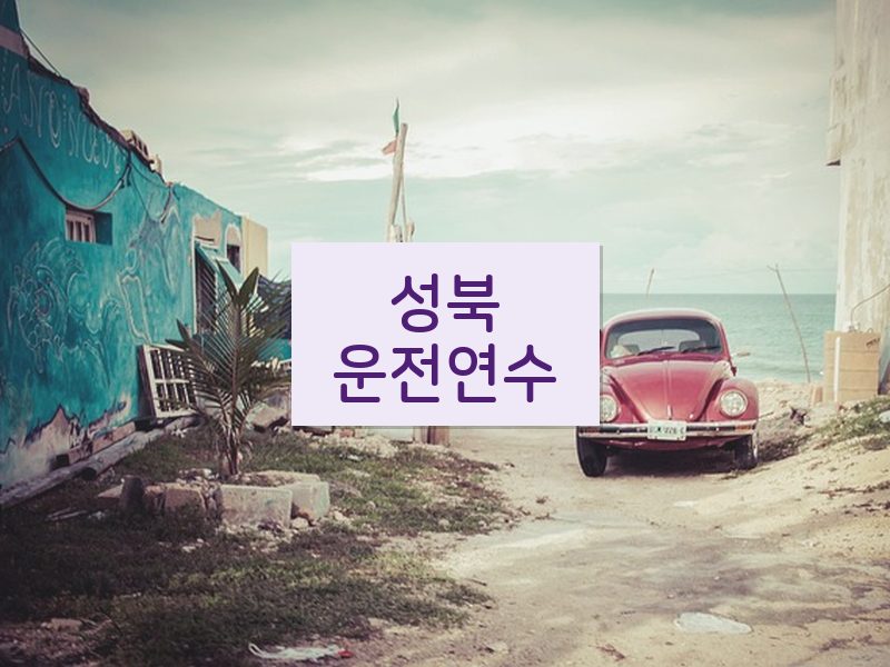 성북운전연수 후기