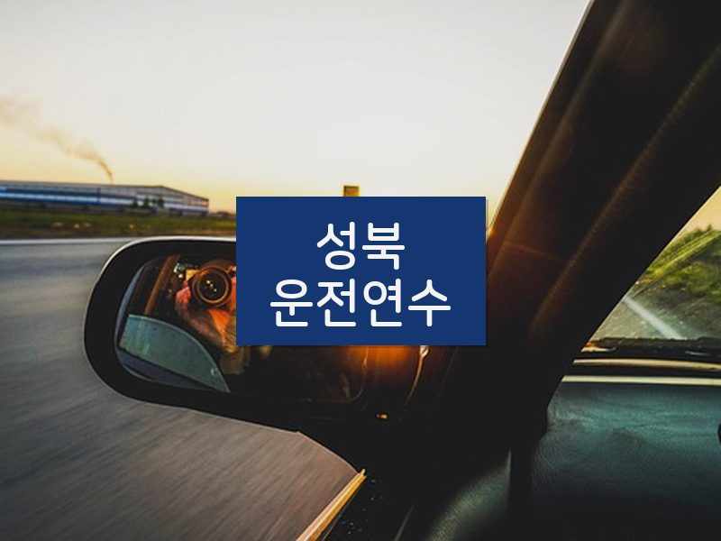 성북운전연수 후기