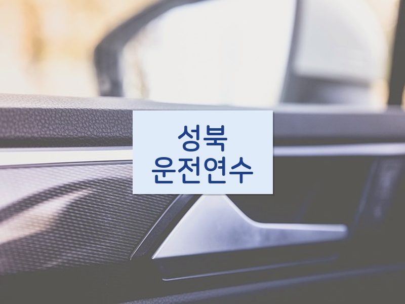 성북운전연수 후기