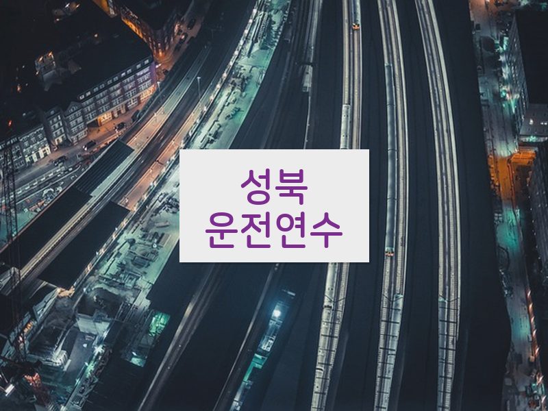 성북운전연수 후기