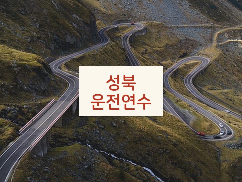 성북운전연수 후기