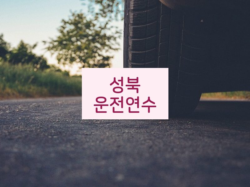 성북운전연수 후기