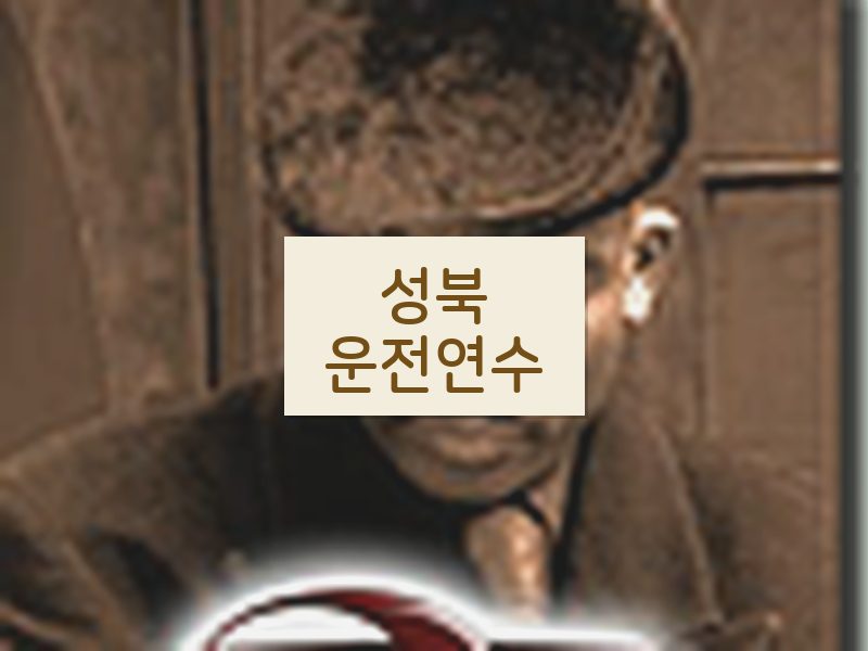 성북운전연수 후기