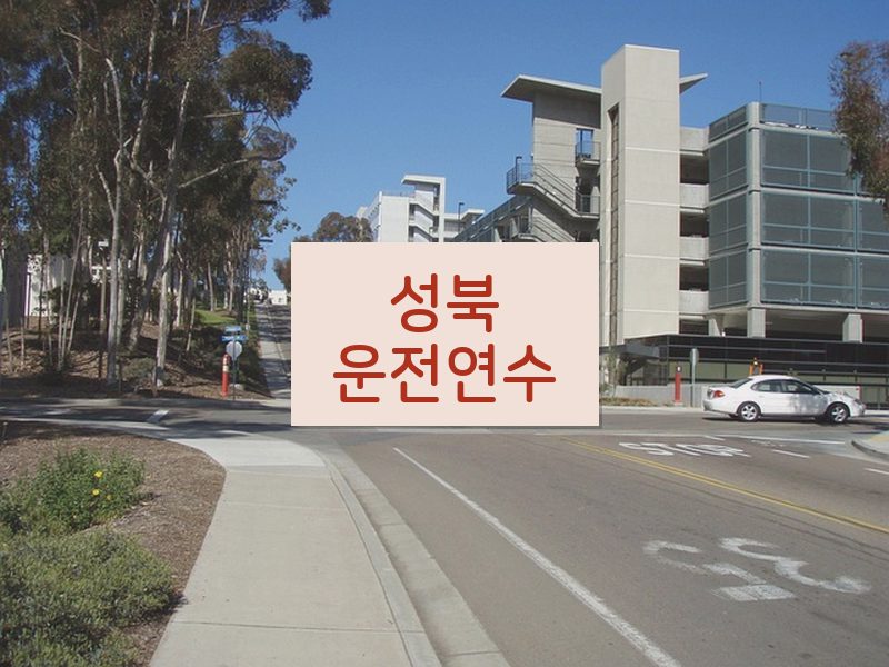 성북운전연수 후기