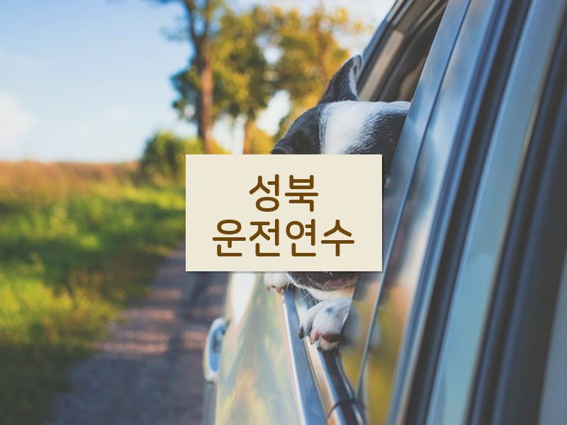 성북운전연수 후기
