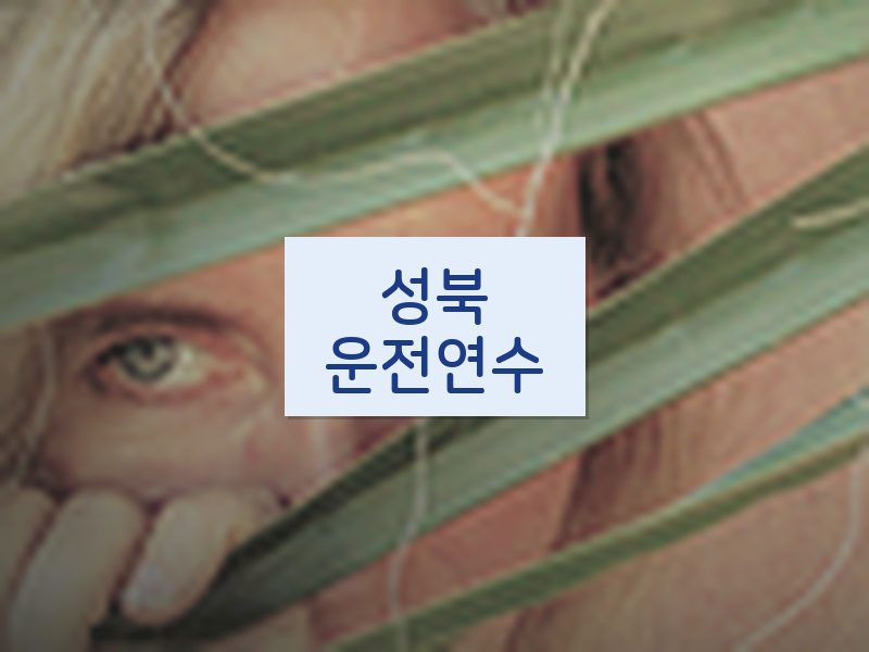 성북운전연수 후기