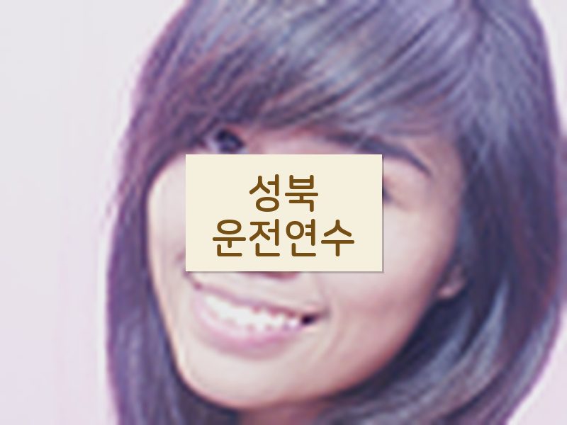 성북운전연수 후기