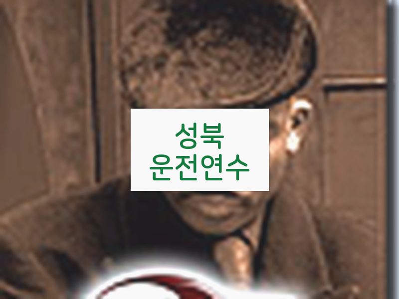 성북운전연수 후기