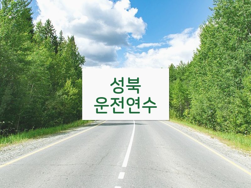 성북운전연수 후기