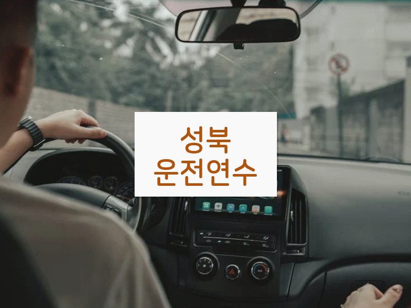 성북운전연수 후기