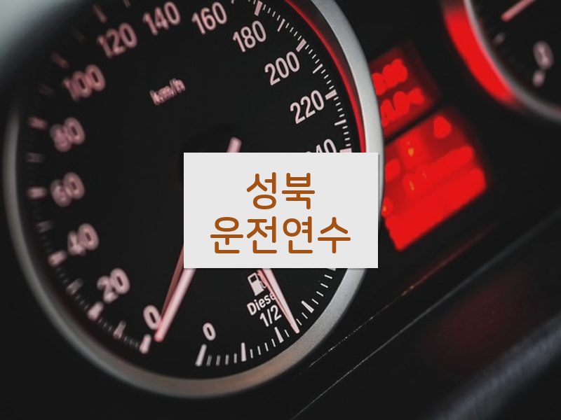 성북운전연수 후기