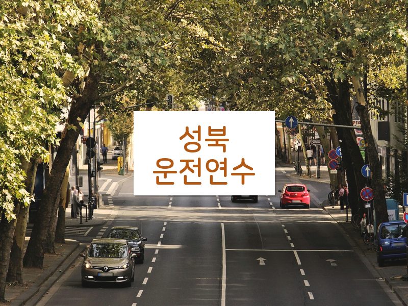 성북운전연수 후기
