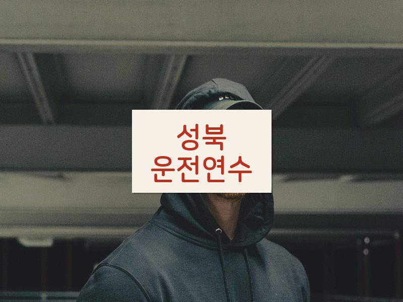 성북운전연수 후기