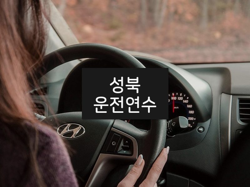 성북운전연수 후기
