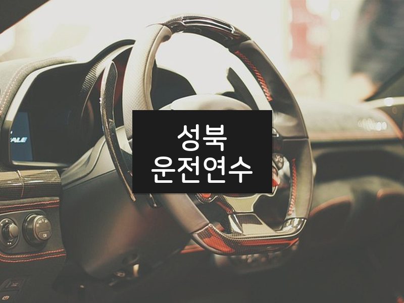 성북운전연수 후기