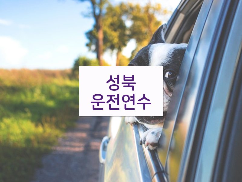 성북운전연수 후기