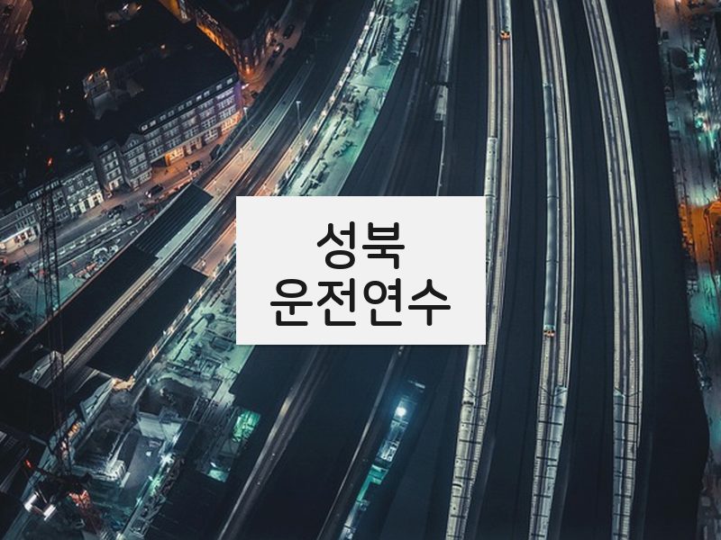 성북운전연수 후기