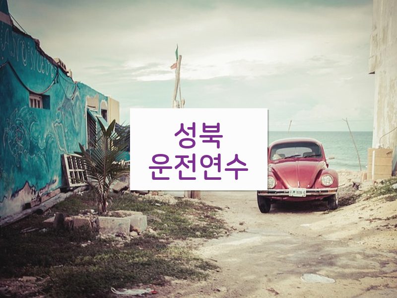 성북운전연수 후기