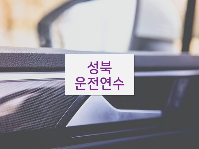 성북운전연수 후기