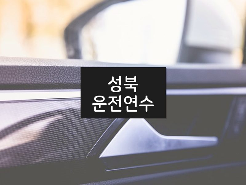 성북운전연수 후기
