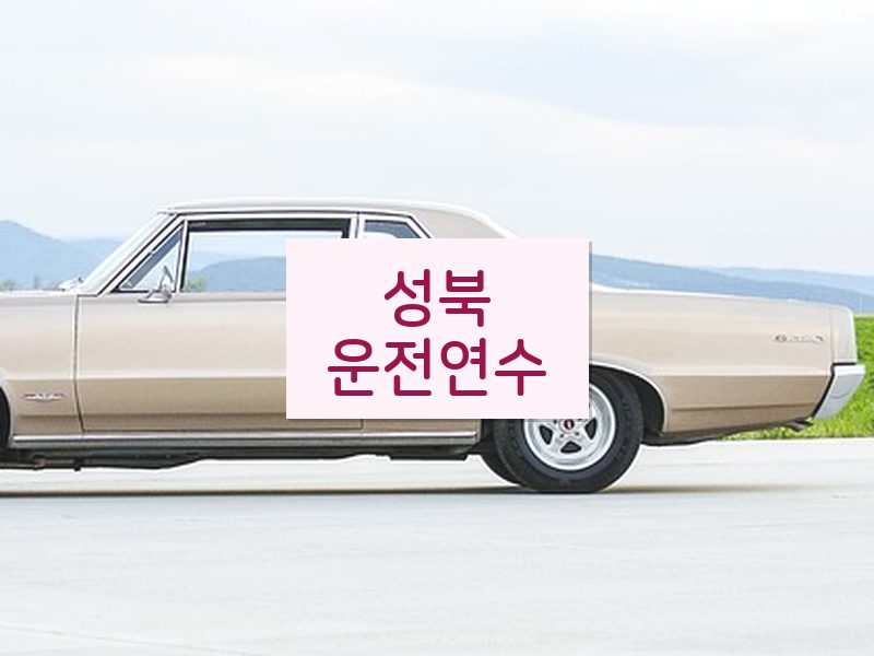 성북운전연수 후기