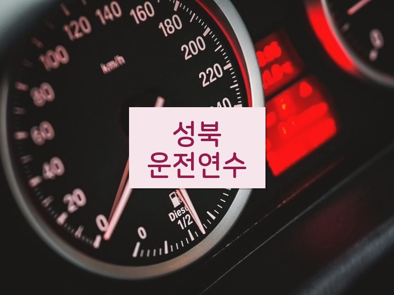 성북운전연수 후기