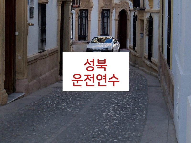 성북운전연수 후기