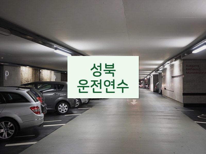 성북운전연수 후기