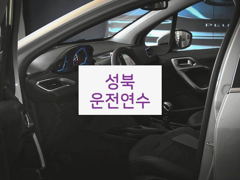 성북운전연수 후기