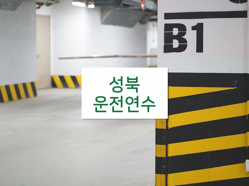 성북운전연수 후기