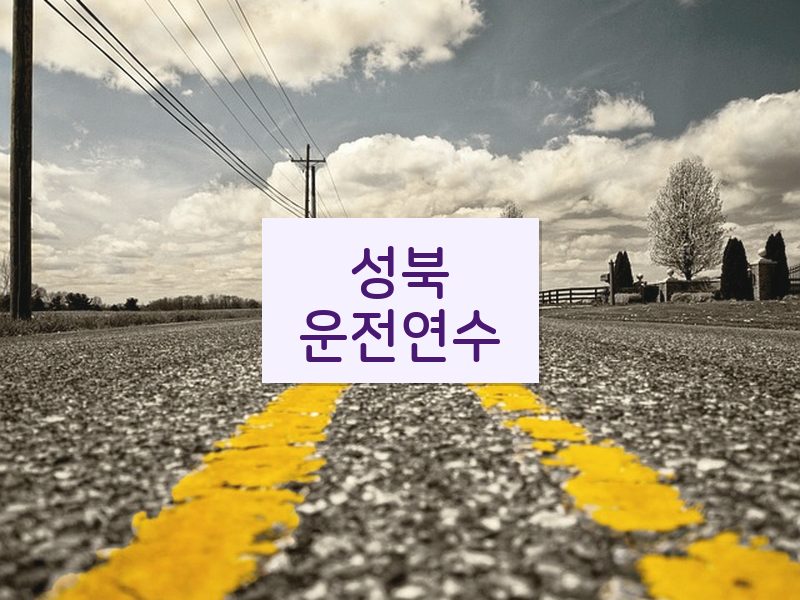 성북운전연수 후기