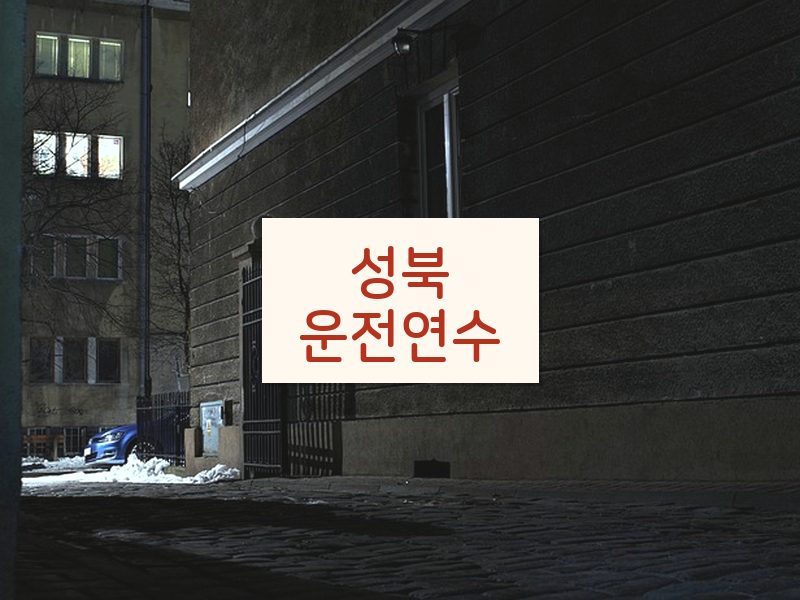 성북운전연수 후기