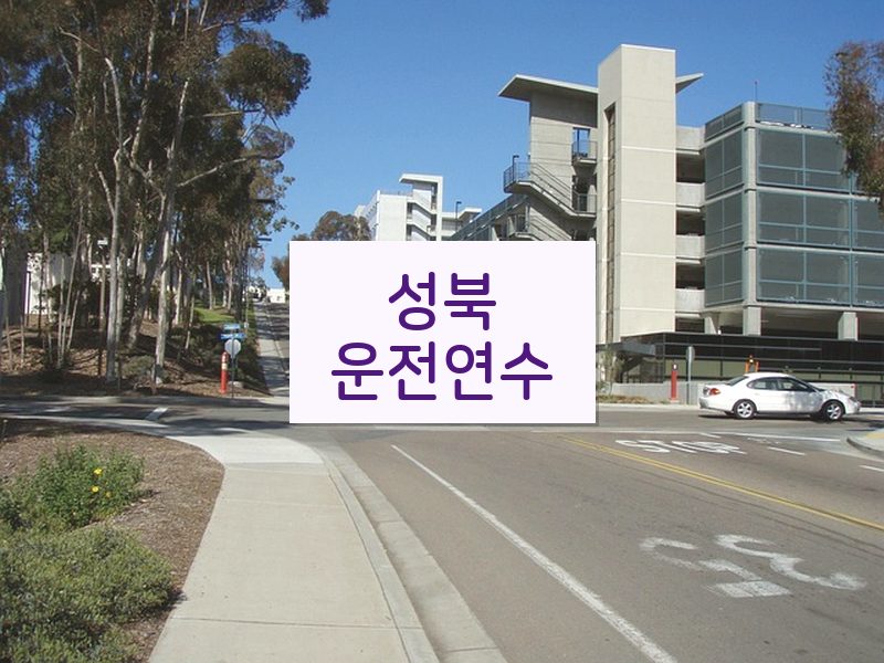 성북운전연수 후기