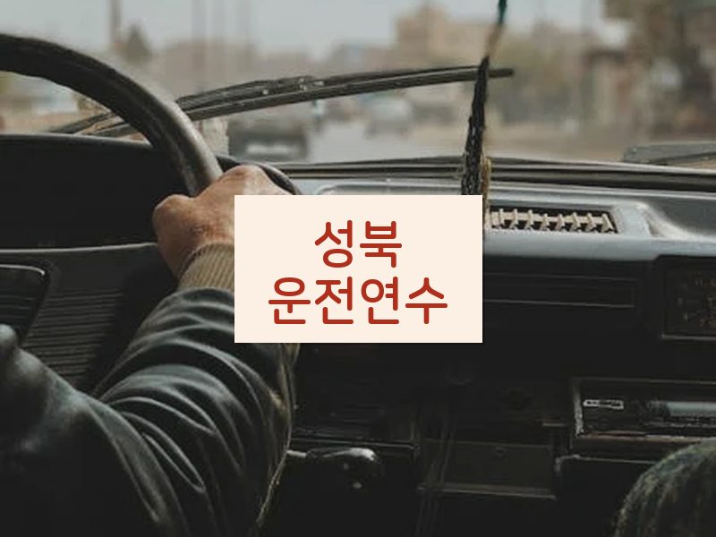 성북운전연수 후기