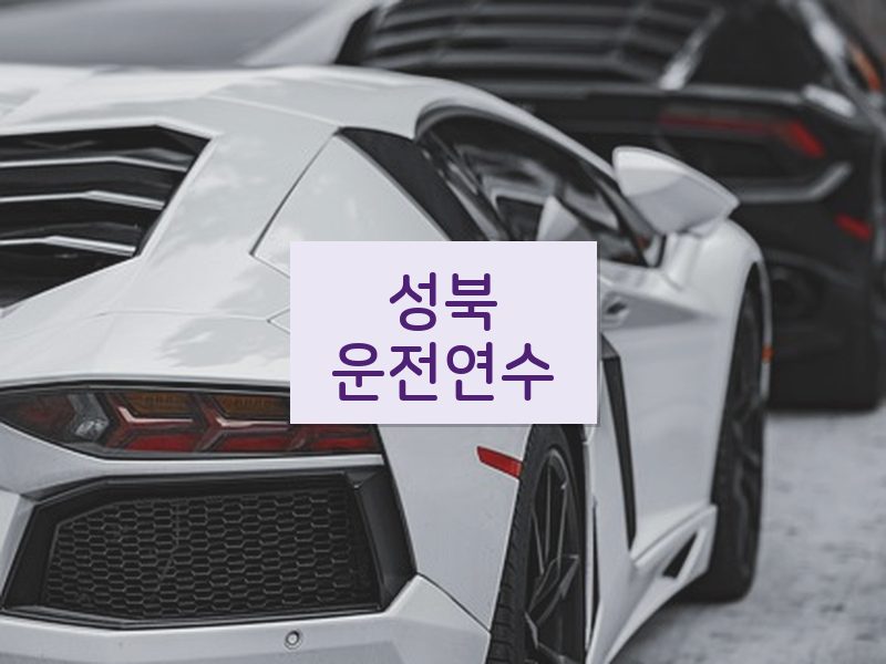 성북운전연수 후기