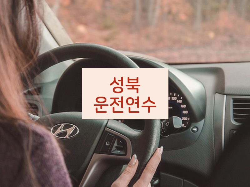 성북운전연수 후기